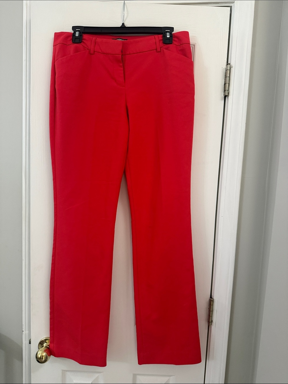 Express Editor Bright Coral Boot-Cut Pants